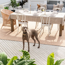 Load image into Gallery viewer, Fraser Outdoor/Indoor: Small