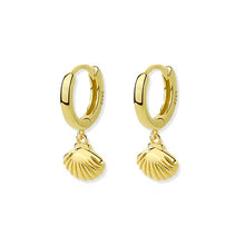 Load image into Gallery viewer, Seashell Hoop Earrings