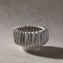 Load image into Gallery viewer, Anise Pot