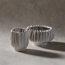 Load image into Gallery viewer, Anise Pot