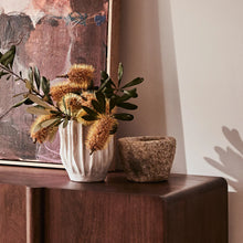 Load image into Gallery viewer, Anise Pot