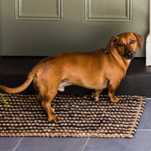Load image into Gallery viewer, Caravan Stripe Doormat