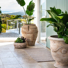 Load image into Gallery viewer, Fraser Outdoor/Indoor: Small