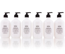 Load image into Gallery viewer, Cedarwood & Basil Cleansing Hand Wash