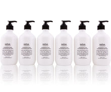 Load image into Gallery viewer, Eucalyptus & Aloe Invigorating Body Wash