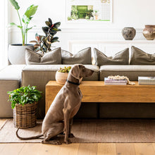 Load image into Gallery viewer, Fraser Outdoor/Indoor: Small
