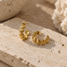 Load image into Gallery viewer, Marina Shell Hoops
