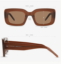 Load image into Gallery viewer, Status Anxiety - Unyielding Sunglasses - Brown
