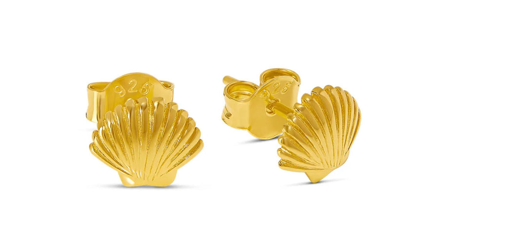 Gold Vermeil Dainty Seashell Studs
