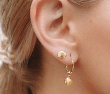 Load image into Gallery viewer, Gold Vermeil Dainty Seashell Studs
