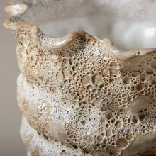 Load image into Gallery viewer, Nautilus Pot Small
