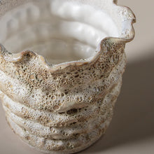 Load image into Gallery viewer, Nautilus Pot Small
