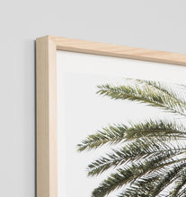 Load image into Gallery viewer, Palm Window Square Print (in stock)
