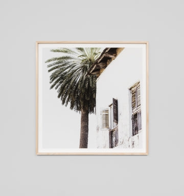 Palm Window Square Print (in stock)
